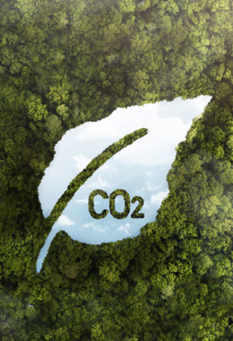  - OZO Phuket